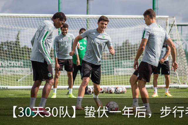 【30天30队】蛰伏一年后，步行者争冠的优劣势有哪些?