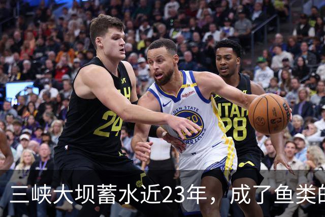三峡大坝蓄水近23年，成了鱼类的天堂，如今库区最大鱼有多大？