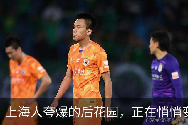 上海人夸爆的后花园，正在悄悄变成“空心老人岛”