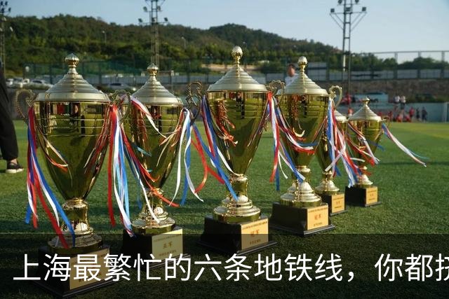 上海最繁忙的六条地铁线，你都挤过吗？