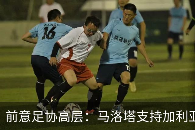 前意足协高层：马洛塔支持加利亚尼竞选足协主席，意甲已分裂