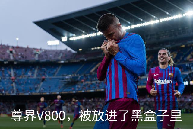 尊界V800，被放进了黑盒子里