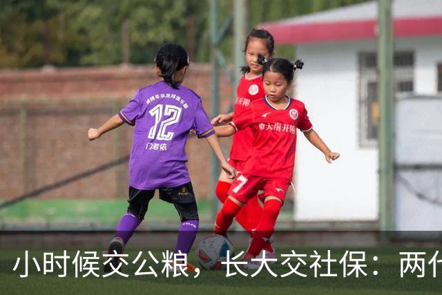 小时候交公粮，长大交社保：两代人的账，其实是一本账