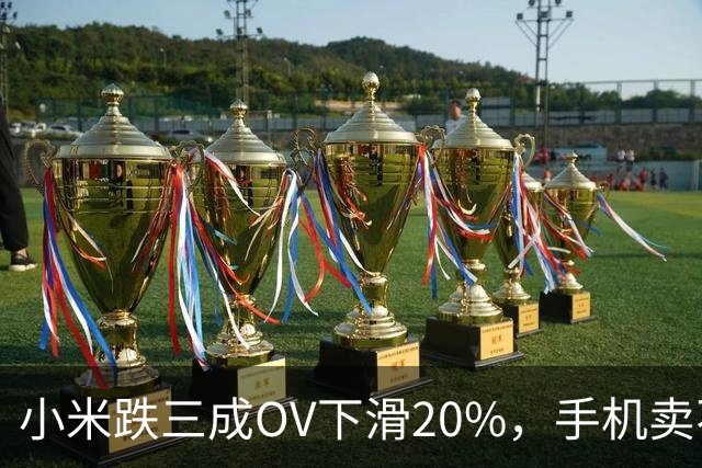 小米跌三成OV下滑20%，手机卖不动了谁更慌？