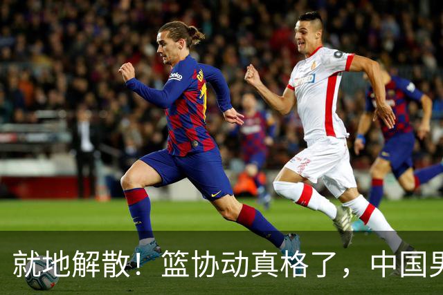 就地解散！篮协动真格了，中国男篮必须改革，郭士强最新摊牌