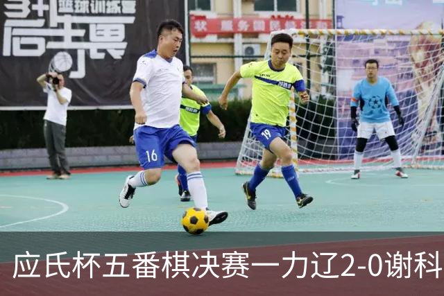 应氏杯五番棋决赛一力辽2-0谢科 率先拿到赛点