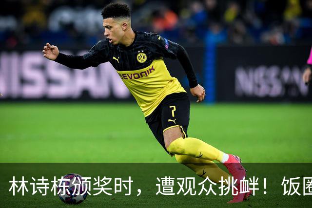 林诗栋颁奖时，遭观众挑衅！饭圈文化裹挟，王励勤、王皓表情凝重