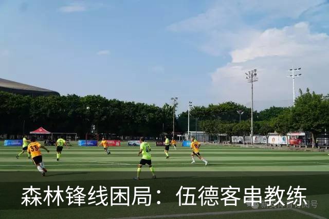 森林锋线困局：伍德客串教练