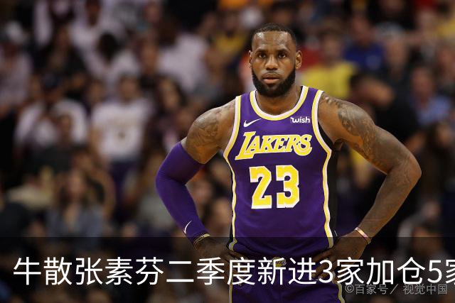 牛散张素芬二季度新进3家加仓5家，股价均低于6元，最大涨幅149%
