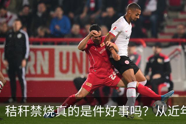秸秆禁烧真的是件好事吗？从近年蚯蚓鸟类和蛇类数量就能看出来