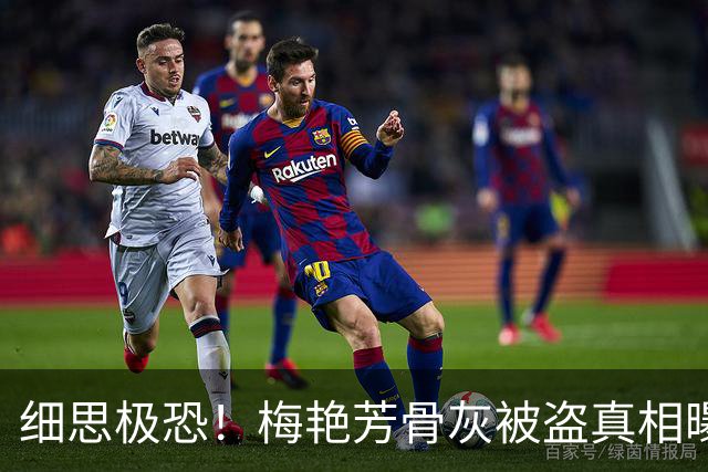 细思极恐！梅艳芳骨灰被盗真相曝光，窃贼逃去东南亚，网友揪心