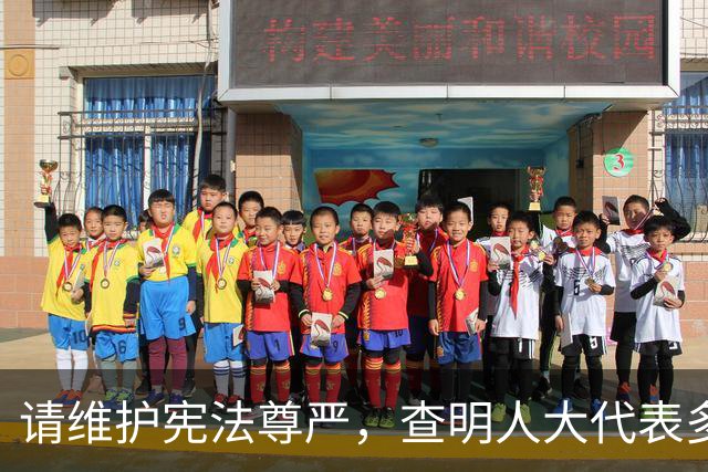 请维护宪法尊严，查明人大代表多吉扎西被非法拘留、逮捕问题