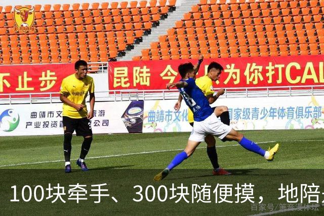 100块牵手、300块随便摸，地陪是陪玩还是卖淫？