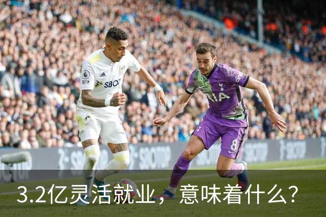3.2亿灵活就业，意味着什么？