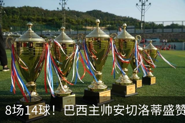 8场14球！巴西主帅安切洛蒂盛赞拉菲尼亚